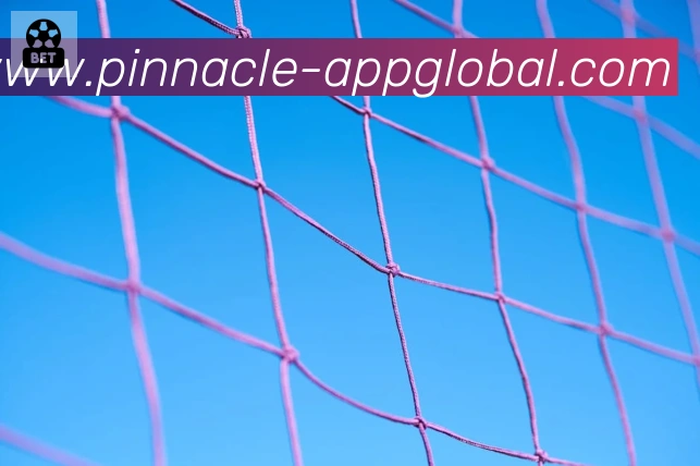 平博pinnacle体育荣誉